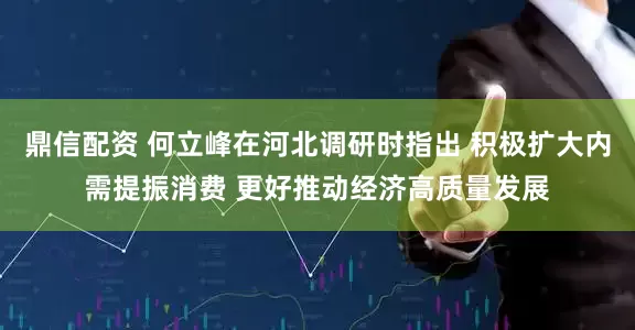 鼎信配资 何立峰在河北调研时指出 积极扩大内需提振消费 更好推动经济高质量发展