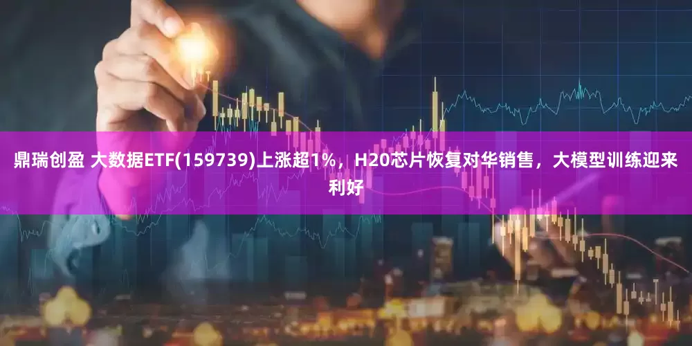 鼎瑞创盈 大数据ETF(159739)上涨超1%，H20芯片恢复对华销售，大模型训练迎来利好