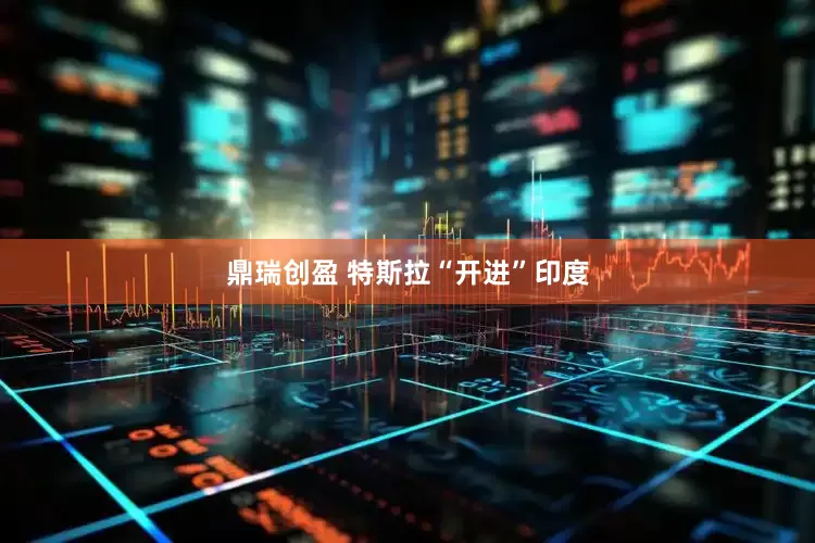 鼎瑞创盈 特斯拉“开进”印度