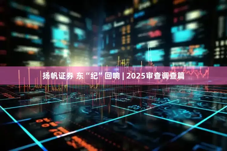 扬帆证券 东“纪”回响 | 2025审查调查篇